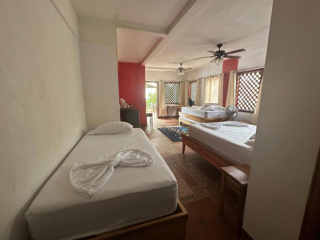 Hotel Don Quichotte Tortuguero Extérieur photo