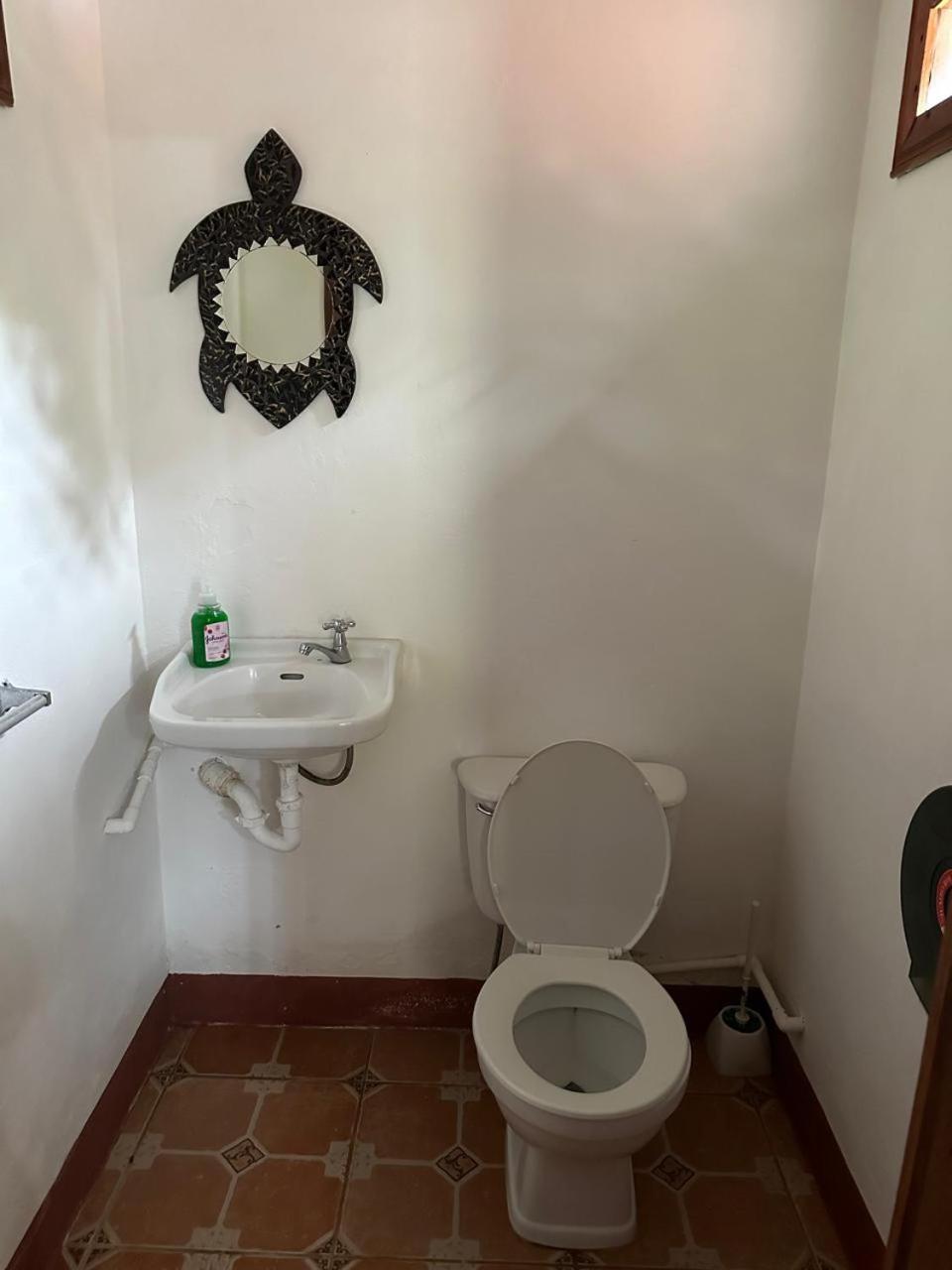 Hotel Don Quichotte Tortuguero Extérieur photo