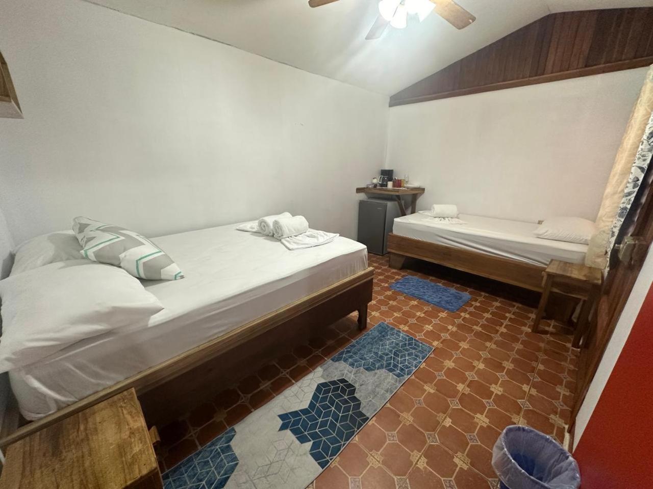 Hotel Don Quichotte Tortuguero Extérieur photo