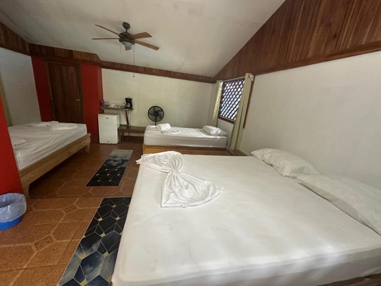 Hotel Don Quichotte Tortuguero Extérieur photo