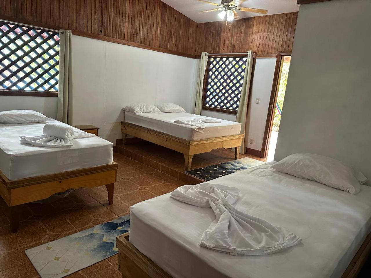 Hotel Don Quichotte Tortuguero Extérieur photo